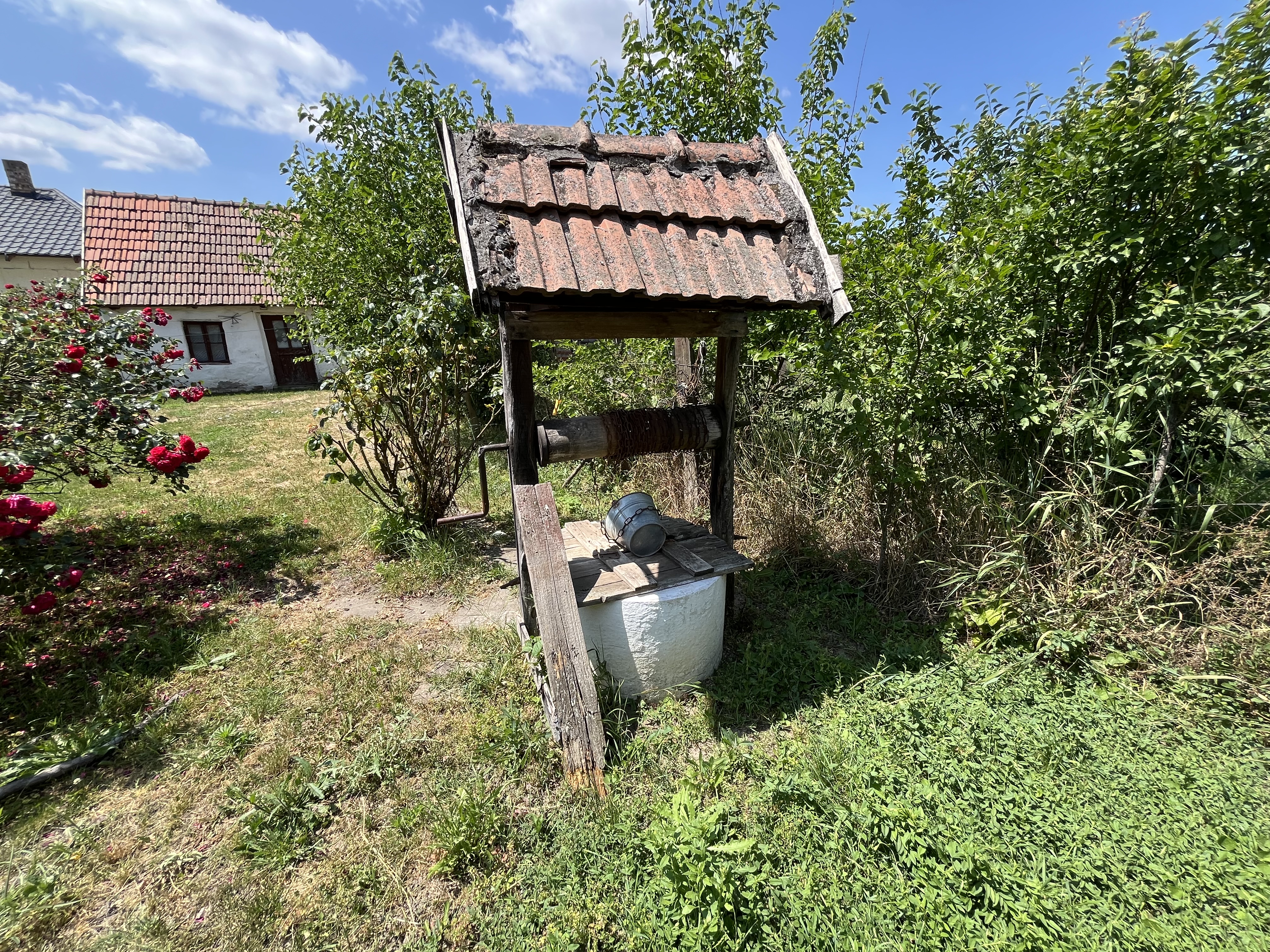 Kép leírása
